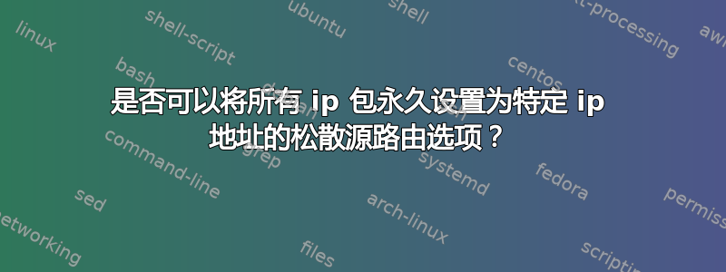 是否可以将所有 ip 包永久设置为特定 ip 地址的松散源路由选项？