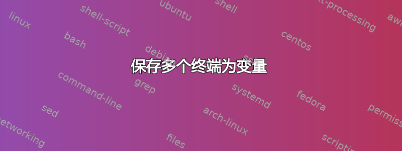 保存多个终端为变量