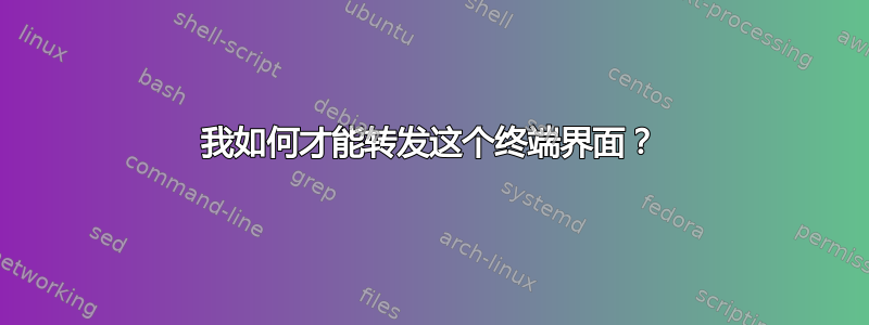 我如何才能转发这个终端界面？