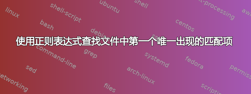 使用正则表达式查找文件中第一个唯一出现的匹配项