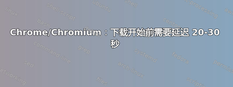 Chrome/Chromium：下载开始前需要延迟 20-30 秒