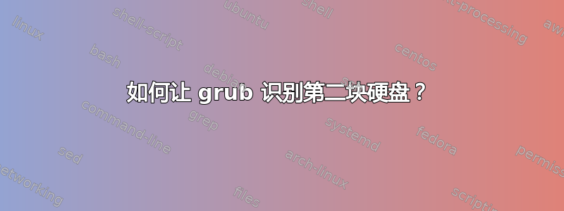 如何让 grub 识别第二块硬盘？