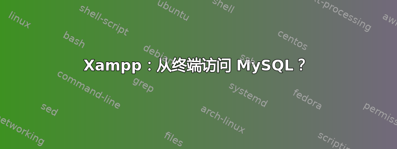 Xampp：从终端访问 MySQL？