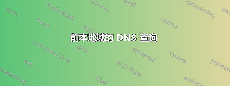 前本地域的 DNS 查询