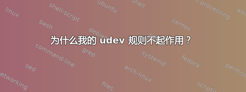 为什么我的 udev 规则不起作用？