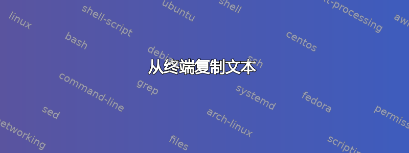 从终端复制文本