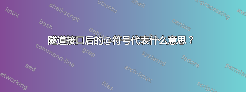 隧道接口后的@符号代表什么意思？