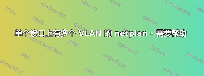 单个接口上有多个 VLAN 的 netplan - 需要帮助