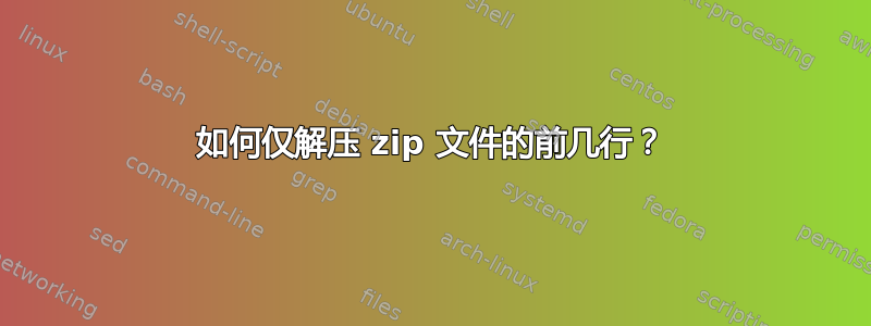 如何仅解压 zip 文件的前几行？