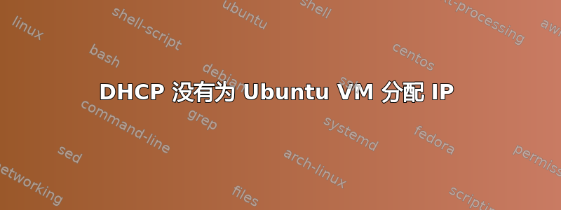 DHCP 没有为 Ubuntu VM 分配 IP