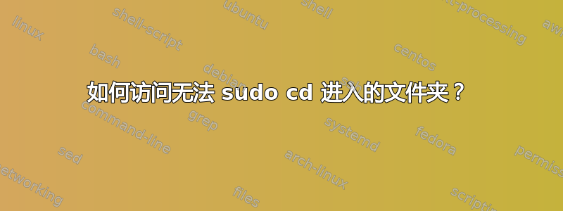 如何访问无法 sudo cd 进入的文件夹？