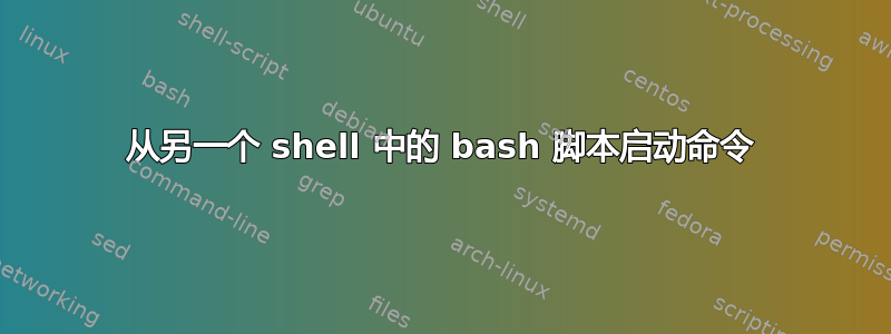 从另一个 shell 中的 bash 脚本启动命令