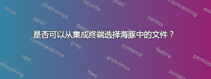 是否可以从集成终端选择海豚中的文件？