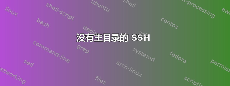 没有主目录的 SSH