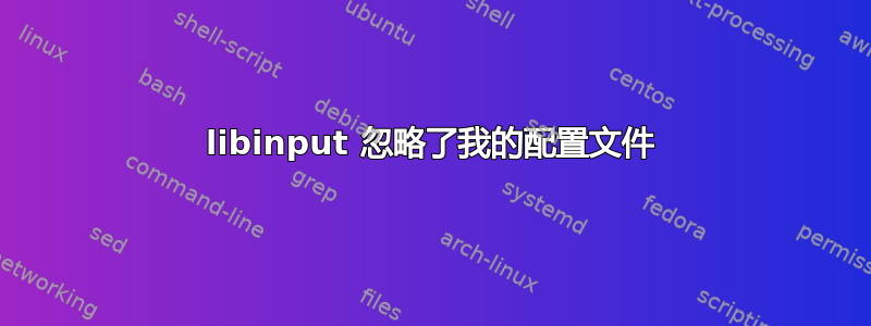 libinput 忽略了我的配置文件