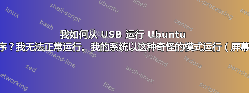 我如何从 USB 运行 Ubuntu 安装程序？我无法正常运行。我的系统以这种奇怪的模式运行（屏幕截图）