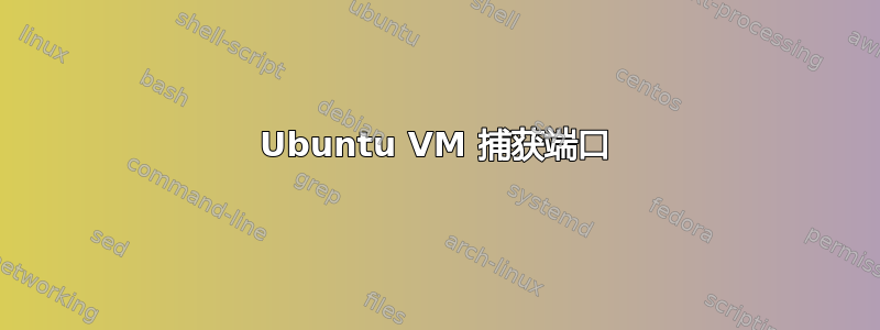 Ubuntu VM 捕获端口