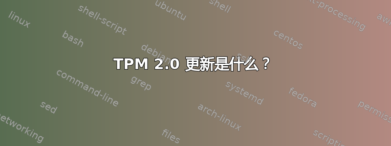 TPM 2.0 更新是什么？