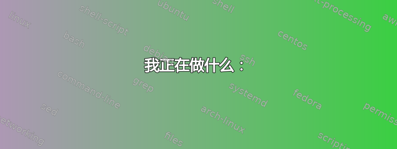 我正在做什么：