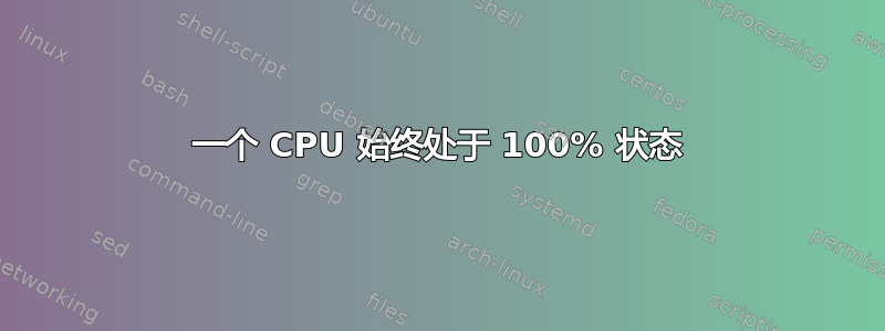 一个 CPU 始终处于 100% 状态