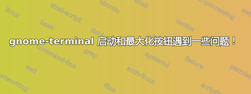 gnome-terminal 启动和最大化按钮遇到一些问题！