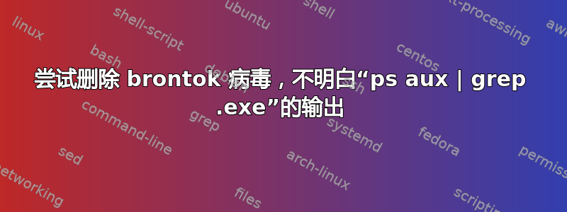 尝试删除 brontok 病毒，不明白“ps aux | grep .exe”的输出