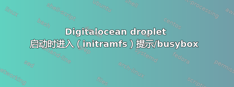 Digitalocean droplet 启动时进入（initramfs）提示/busybox 