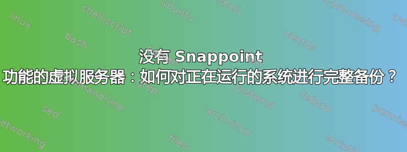 没有 Snappoint 功能的虚拟服务器：如何对正在运行的系统进行完整备份？