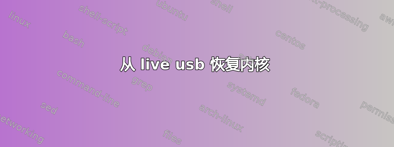 从 live usb 恢复内核