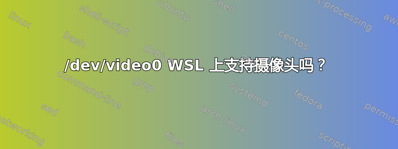 /dev/video0 WSL 上支持摄像头吗？