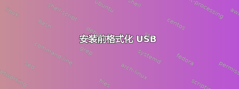 安装前格式化 USB