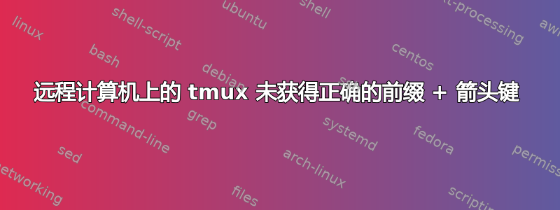 远程计算机上的 tmux 未获得正确的前缀 + 箭头键