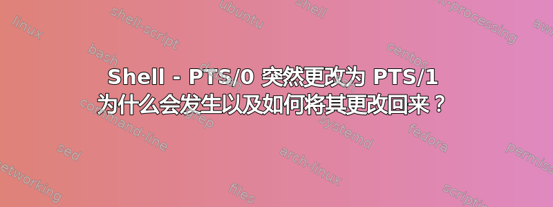 Shell - PTS/0 突然更改为 PTS/1 为什么会发生以及如何将其更改回来？