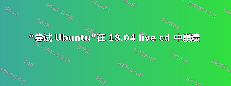 “尝试 Ubuntu”在 18.04 live cd 中崩溃