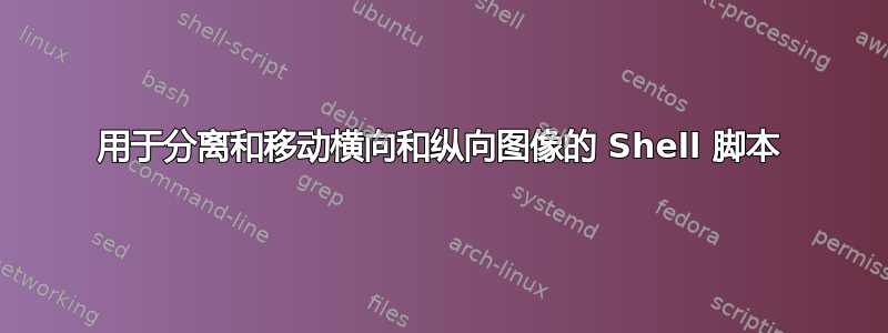 用于分离和移动横向和纵向图像的 Shell 脚本