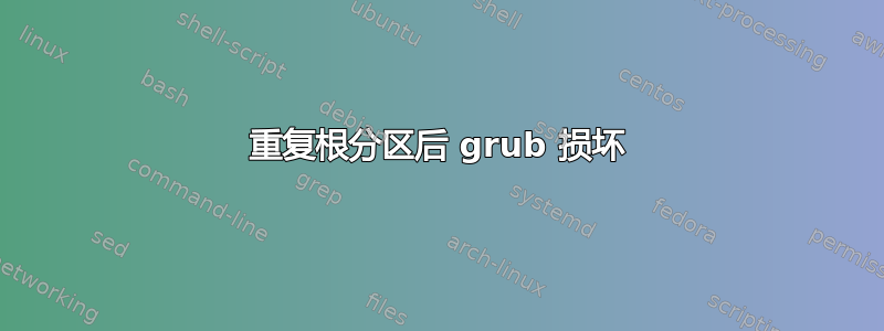 重复根分区后 grub 损坏