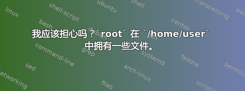 我应该担心吗？`root` 在 `/home/user` 中拥有一些文件。