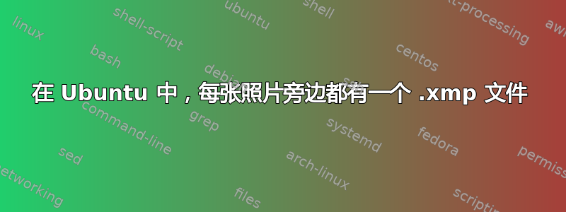 在 Ubuntu 中，每张照片旁边都有一个 .xmp 文件