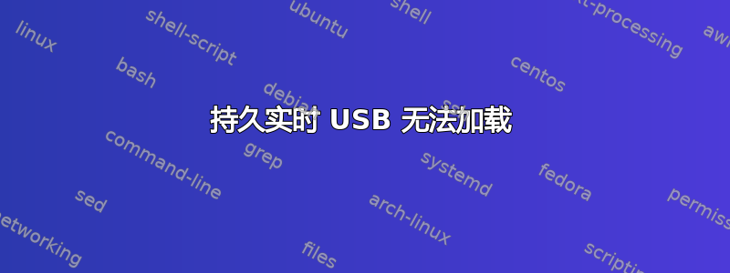 持久实时 USB 无法加载