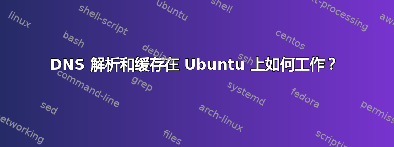 DNS 解析和缓存在 Ubuntu 上如何工作？