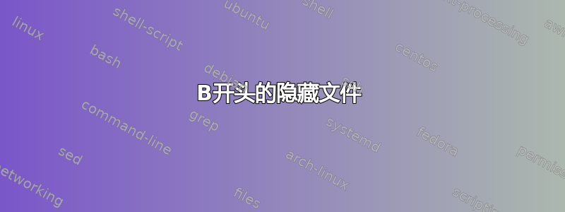 B开头的隐藏文件