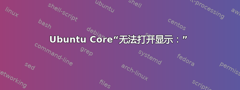 Ubuntu Core“无法打开显示：”