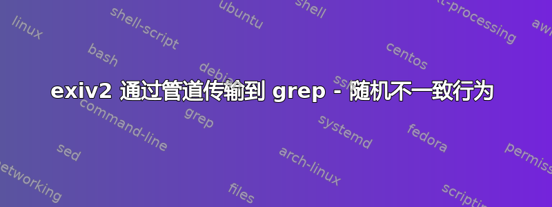 exiv2 通过管道传输到 grep - 随机不一致行为