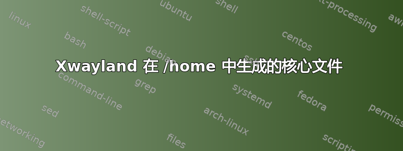 Xwayland 在 /home 中生成的核心文件