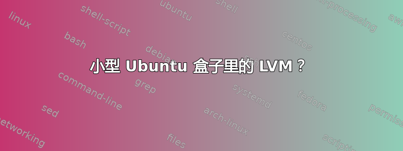 小型 Ubuntu 盒子里的 LVM？