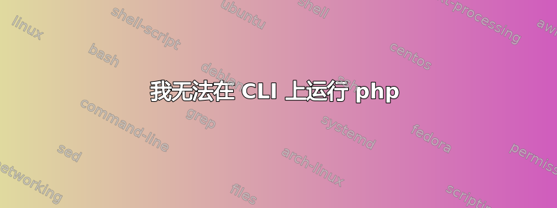 我无法在 CLI 上运行 php