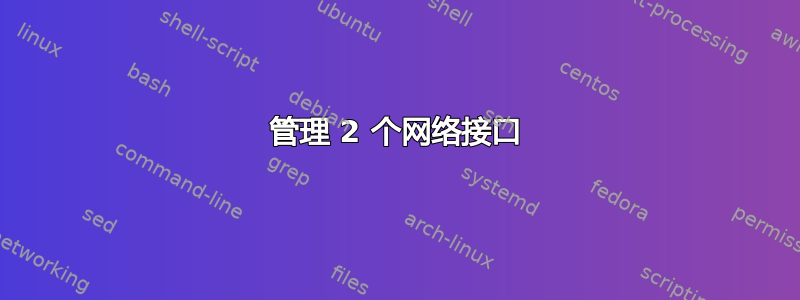 管理 2 个网络接口