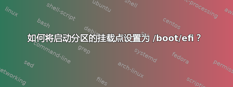 如何将启动分区的挂载点设置为 /boot/efi？