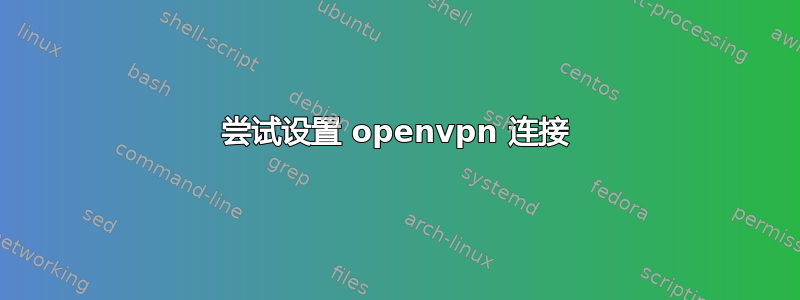 尝试设置 openvpn 连接