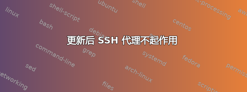 更新后 SSH 代理不起作用